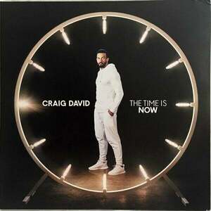 Craig David - Time is Now (2 LP) vyobraziť