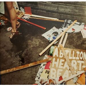 Mystery Jets - A Billion Heartbeats (2 LP) vyobraziť