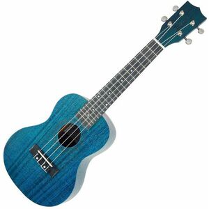 Tanglewood TWT 3 TB Koncertné ukulele Thru Blue Satin vyobraziť