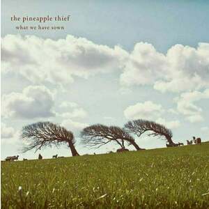 The Pineapple Thief - What We Have Sown (2 LP) vyobraziť