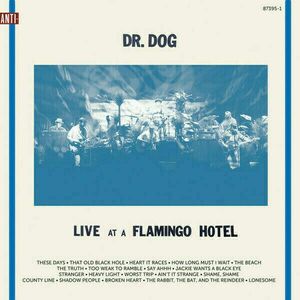 Dr. Dog - Live At A Flamingo Hotel (2 LP) vyobraziť