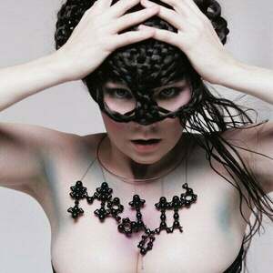 Björk - Medulla (Reissue) (2 LP) vyobraziť