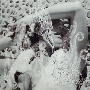 Björk - Vespertine (180g) (2 LP) vyobraziť