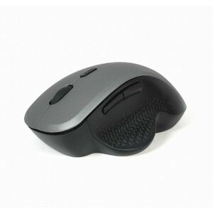 GEMBIRD myš MUSW-6B-02, čierno-strieborná, bezdrôtová, USB nano receiver vyobraziť
