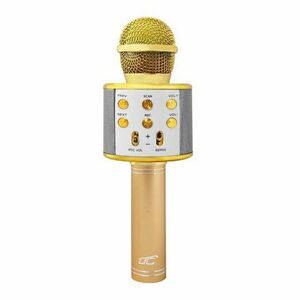 Detský karaoke mikrofón LTC LXMIC100R Gold vyobraziť