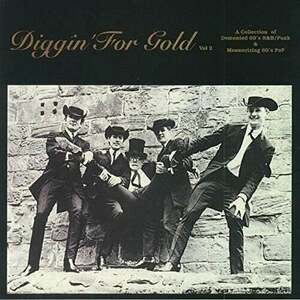 Various Artists - Diggin’ For Gold Volume 2 (LP) vyobraziť