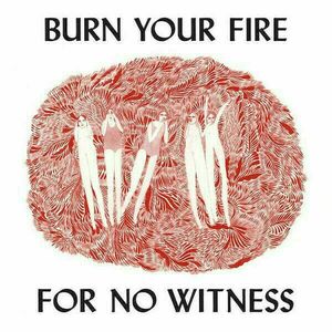 Angel Olsen - Burn Your Fire Not Your Witness (LP) vyobraziť