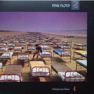 Pink Floyd - A Momentary Lapse Of Reason (2011 Remastered) (LP) vyobraziť