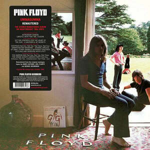 Pink Floyd - Ummagummma (2011 Remastered) (2 LP) vyobraziť