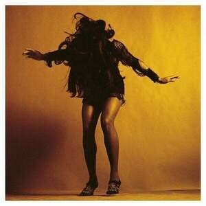 The Last Shadow Puppets - Everything You've Come To Expect (LP) vyobraziť