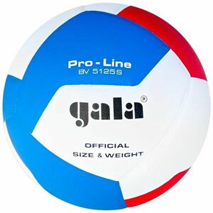 Gala Pro Line 12 Halový volejbal vyobraziť