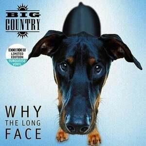 Big Country - Why The Long Face (Blue Coloured) (RSD 2024) (LP) vyobraziť