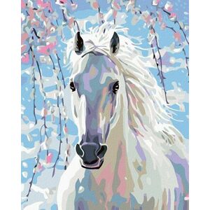 Zuty Diamantové maľovanie Biely kôň vyobraziť