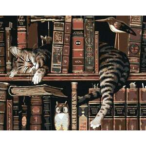 Zuty Diamantové maľovanie Mačka v knižnici vyobraziť