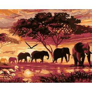 Zuty Diamantové maľovanie Slony vyobraziť