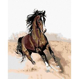 Zuty Diamantové maľovanie Hnedý kôň v piesku vyobraziť