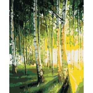Zuty Brezy v osvetlenom lese vyobraziť