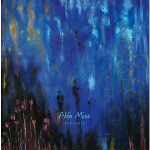 Alfa Mist - Variables (LP) vyobraziť