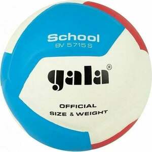 Gala School 12 Halový volejbal vyobraziť