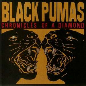 Black Pumas - Chronicles Of A Diamond (Limited Edition) (Red Transparent) (LP) vyobraziť