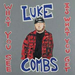 Luke Combs - What You See Is What You Get (2 LP) vyobraziť