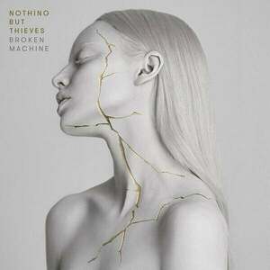 Nothing But Thieves - Broken Machine (LP) vyobraziť