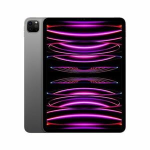 iPad Pro 11" Wi-Fi + Cellular 1TB Kozmický sivý (2022) vyobraziť