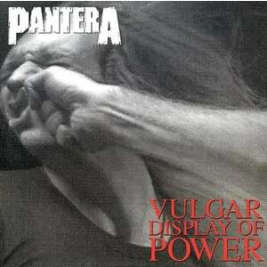 Pantera - Vulgar Display Of Power (Limited Edition) (White & True Metal Gray Marbled) (LP) vyobraziť