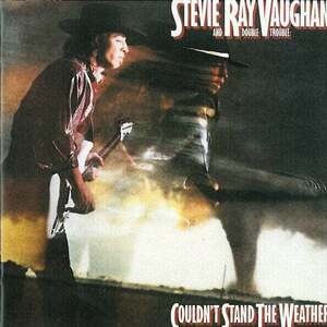 Stevie Ray Vaughan - Couldn't Stand The Weather (2 LP) (200g) (45 RPM) vyobraziť