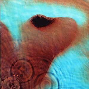 Pink Floyd - Meddle (Reissue) (Remastered) (180g) (LP) vyobraziť