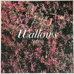 Wallows - Spring (Green & Pink Coloured) (12" Vinyl) vyobraziť