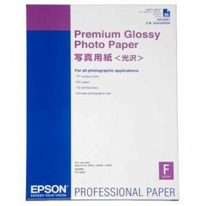 Epson Premium Glossy Photo Paper, C13S042091, foto papier, lesklý, biely, Stylus Photo 890, 895, 1270, 2100, A2, 255 g/m2, 25 ks, vyobraziť