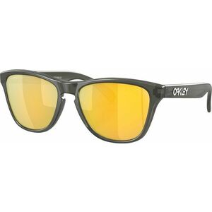 Oakley Frogskins XS 90063753 Matte Grey Smoke/Prizm 24K Polar Lifestyle okuliare vyobraziť