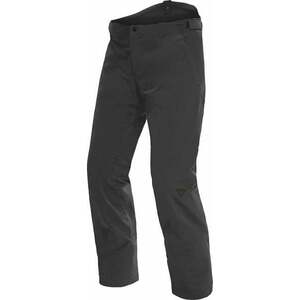 Dainese P001 Dermizax EV Mens Ski Pants Stretch Limo XL Lyžiarske nohavice vyobraziť