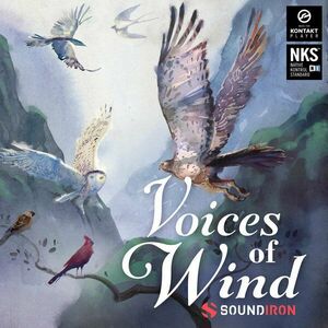 Soundiron Voices of Wind Collection (Digitálny produkt) vyobraziť