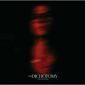 David Kushner - The Dichotomy (2 LP) vyobraziť