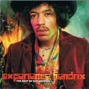 The Jimi Hendrix Experience - Experience Hendrix: The Best Of (2 LP) vyobraziť