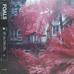 Foals - Everything Not Saved Will Be Lost Part 1 (LP) vyobraziť