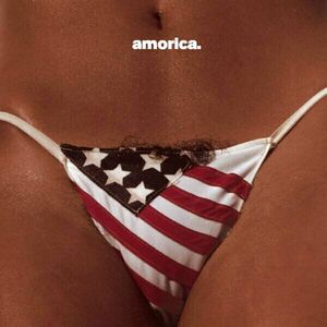 The Black Crowes - Amorica (Reissue) (2 LP) vyobraziť