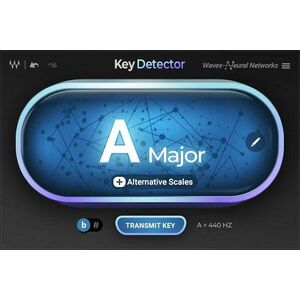 Waves Key Detector (Digitálny produkt) vyobraziť