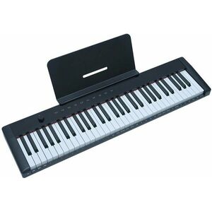 Pearl River M2 Keyboard s dynamikou Black vyobraziť