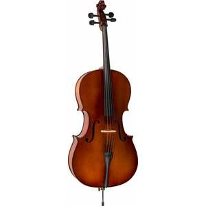 Valencia CE160G 4/4 Violončelo vyobraziť