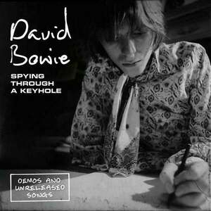 David Bowie - Spying Through A Keyhole (4 LP) vyobraziť