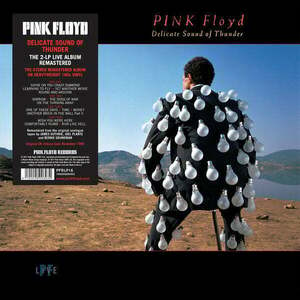 Pink Floyd - Delicate Sound Of Thunder (LP) vyobraziť