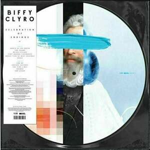 Biffy Clyro - A Celebration Of Endings (Picture Disc) (LP) vyobraziť