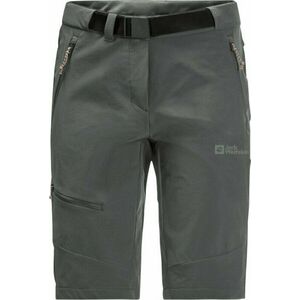 Jack Wolfskin Ziegspitz Shorts W Slate Green S-M Šortky vyobraziť