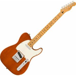 Fender Player Series Telecaster 22 Javor Gitarový krk vyobraziť