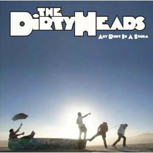 Dirty Heads - Any Port In A Storm (2 LP) vyobraziť