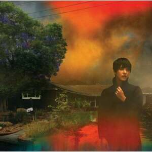 Sharon Van Etten - We've Been Going About This All Wrong (Marbled Smoke Coloured) (LP) vyobraziť