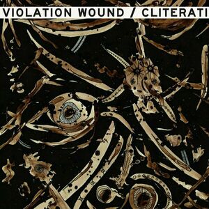 Cliterati / Violation Wound - Split (LP) vyobraziť